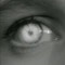 sctt!