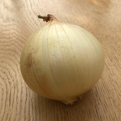die Zwiebel