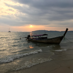 Danielle Guldemeester