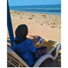 Nouran E. El-gendy