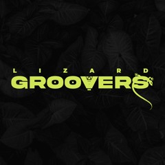 Lizard Groovers