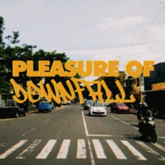 Pleasure Of Downfall