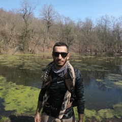 Parsa Asadi