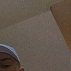 Der Goose