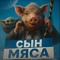 сынмяса