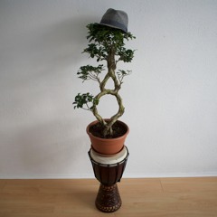 Bonsai