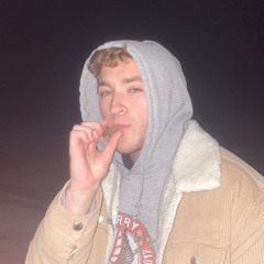 the mav