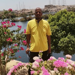 Mohamed gamil