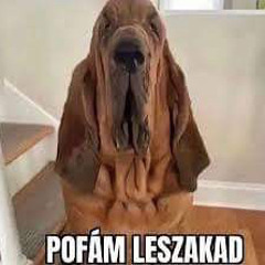 Bazsaaa