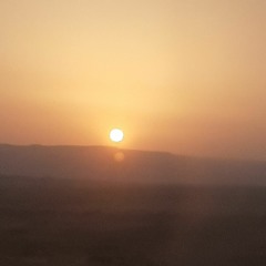 moamensedky elrashidy