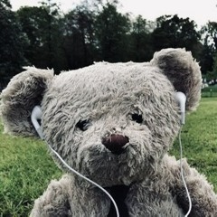 pupsi