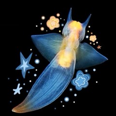 ꒰ঌ Sea angel! ໒꒱