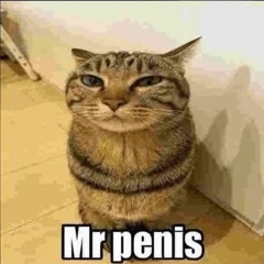 mr penis
