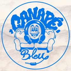 Canapé Bleu