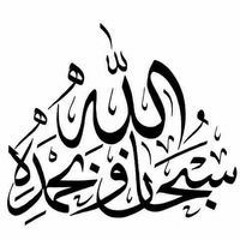 معتز محمد علي