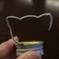 노래듣는 고양이