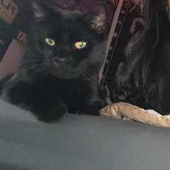 skylar. <\3