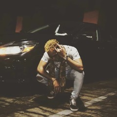 LEDGERNIGHTOWLPRINCE