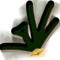 JWEED