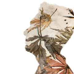 Nostalgia Drive VS Slow Motion VS Aviritia - No Mana Vs Deadmau5