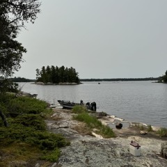 havingenz