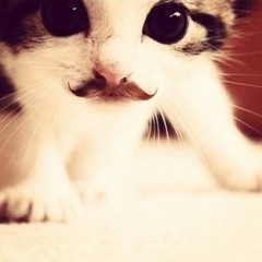 м3ртвая м0делb