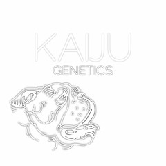 Kaiju Beats Radio