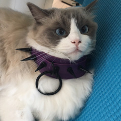 💕🖤RatSnot🖤💕