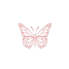 Butterfly 💟
