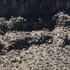 suldano (سلطانه)