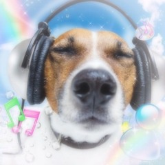 Bobongo