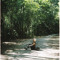 Kim Cuong