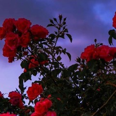 Cosmic Spirit🕶️