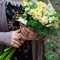 رميسة الصّغير