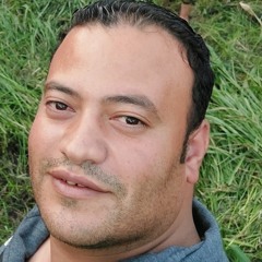 محمد الضبع