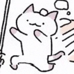 iu con mèo, thích con toá, chiều pizza, tối tập tạ