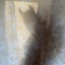 owl_soffi