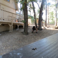 Computer Purple Podcast Season 1