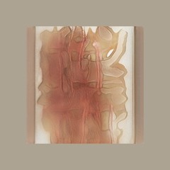 Dignuspublica-ilsapulo