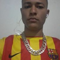 Silva Vrtn