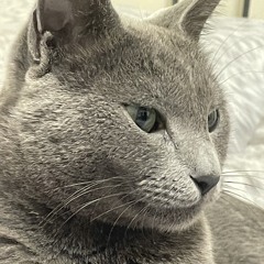 Вика