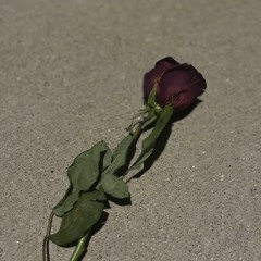 withered roses