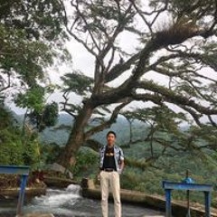 Made Hendra
