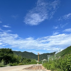 shui wangtu