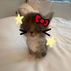 Miss Phạm Sự Nhiều Lắm!?