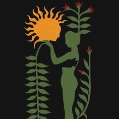 Inmaculadarepresion