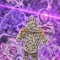 Jøke