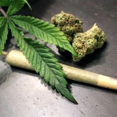 Mr_420