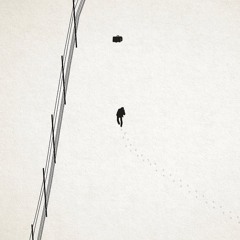 veiiga