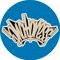 www.phatpress.co.uk